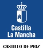 CASTILLO DE PIOZ
