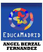 ANGEL BERZAL FERNANDEZ